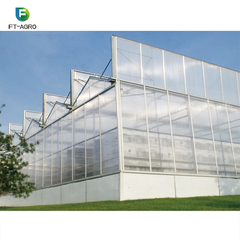 Greenhouse PC sheet vegetable production complete  greenhouses china