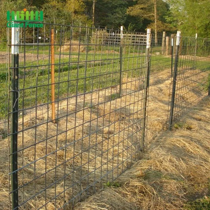 Factory price 5 6 7 8 9 10ft USA T post/Studded metal T Post (manufacturer)