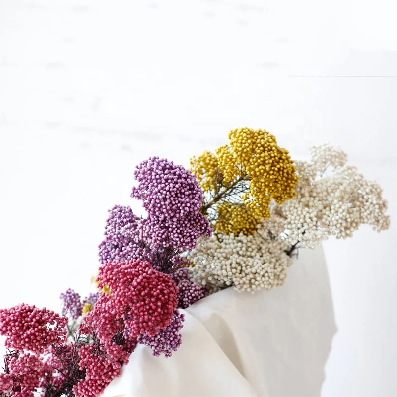 yunnan preserved Millet flower for bouquet making and  flower arrangement preserved rice flower
