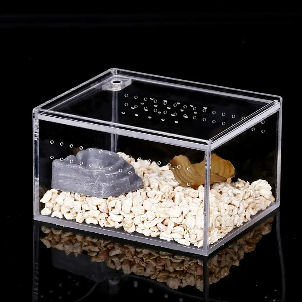 China Customized Clear Acrylic Reptile Terrarium Enclosure Insect Breeding Box for Invertebrates Mantis Spider