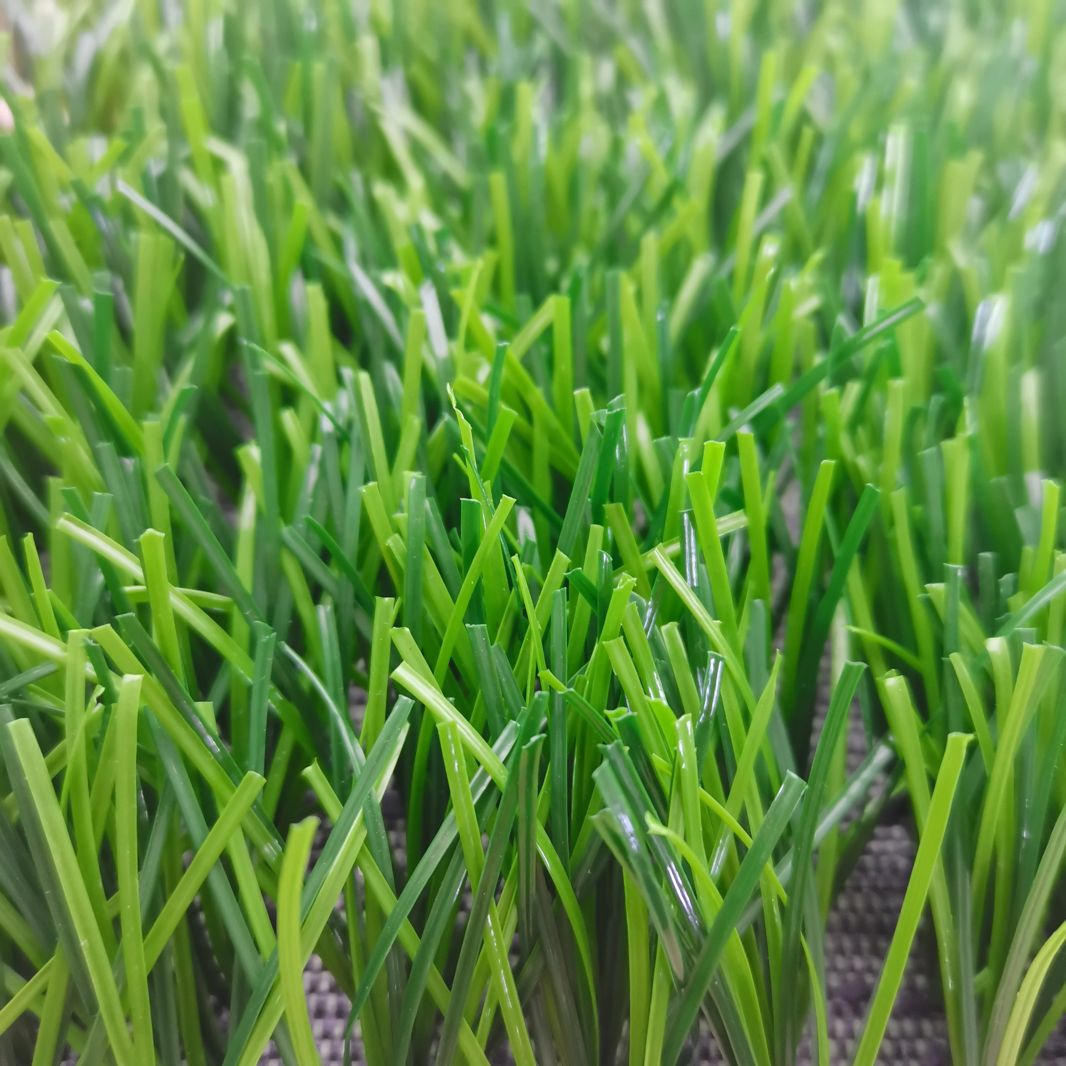 Wholesale Synthetic grass for soccer Bulk Artificial Grass For Football Field Futsal Court grass On Sale