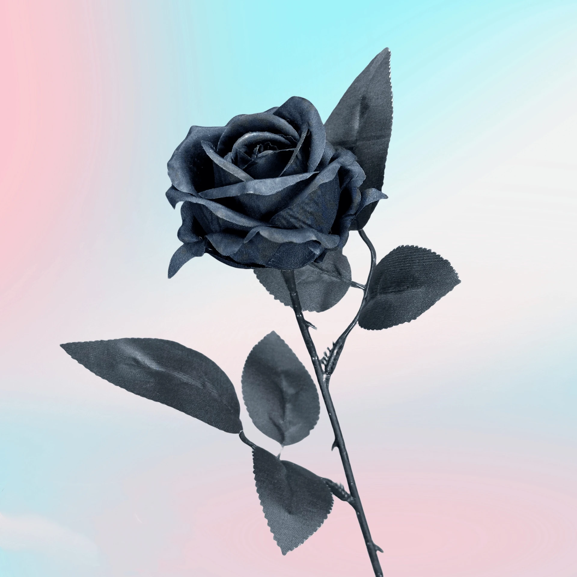 High Quality Silk Artificial Black Rose Flower For Decoration