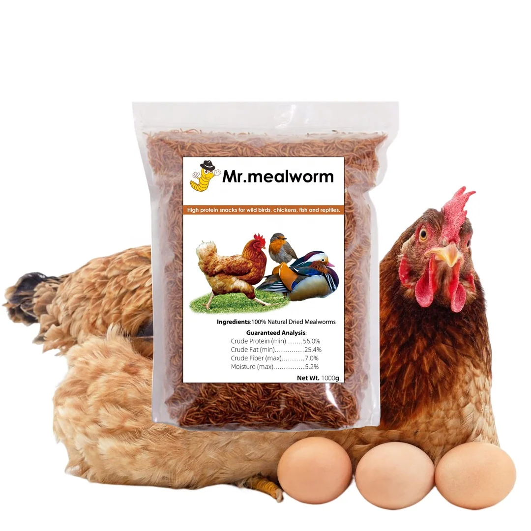 Dried Mealworms For Japanese Health Products With High Protein Content