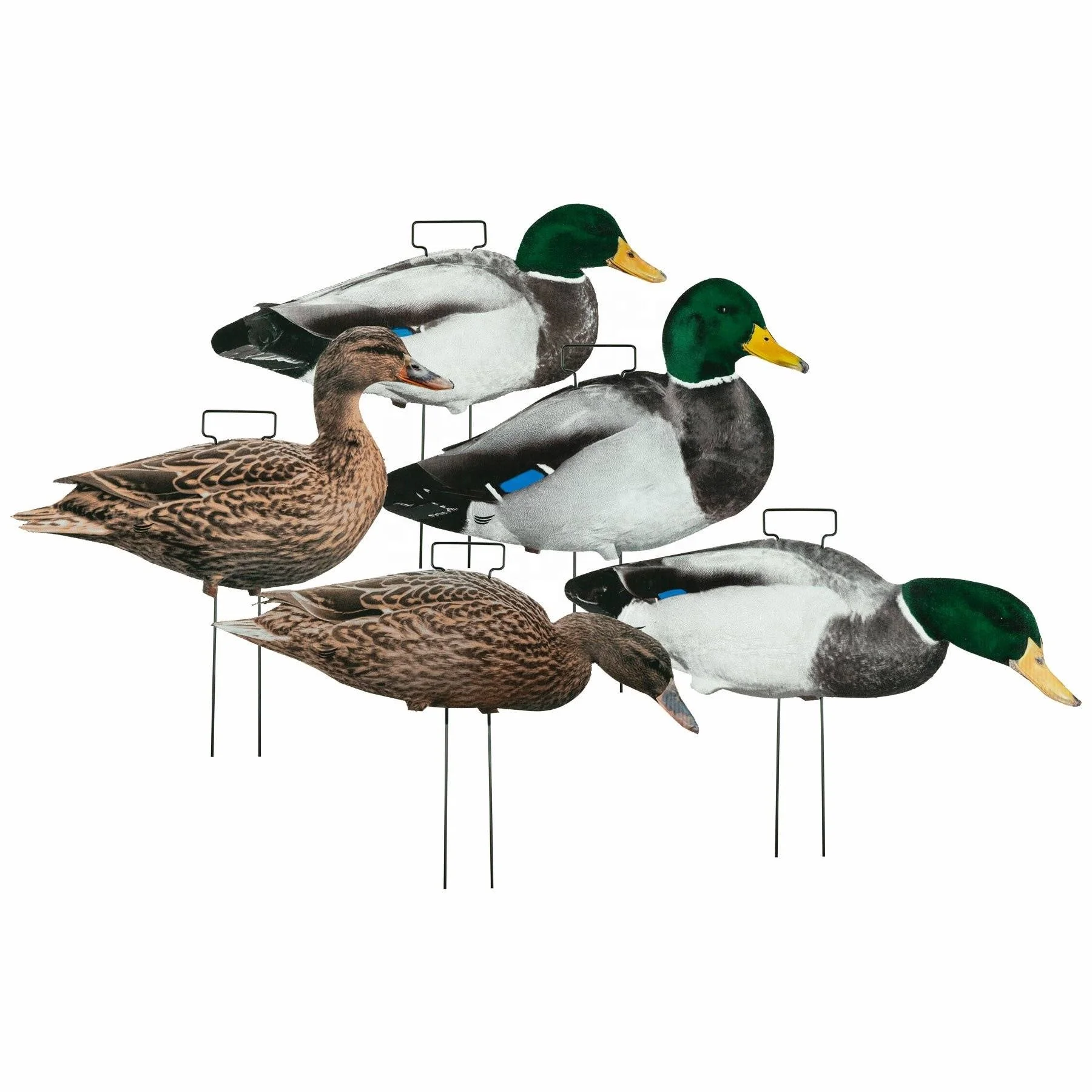 2D hunting decoys  hot selling waterproof PP mallard duck Silohoutte decoy