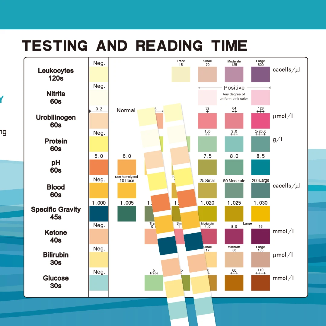 Test Urinal Strip Urine Analyzer strip Urine Analyzer Test Paper 14 Indicators