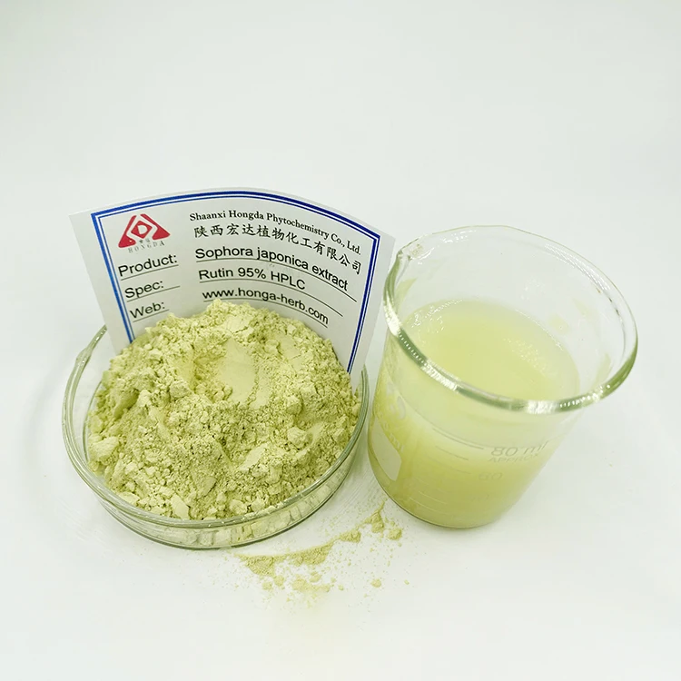 Herbal Sophora Japonica Extract Powder Rutin NF11 95% Pure Rutin Powder