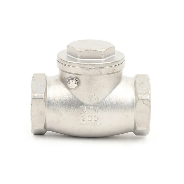 NPT Threaded Stainless Steel 304 1/2 inch Swing Check Valve