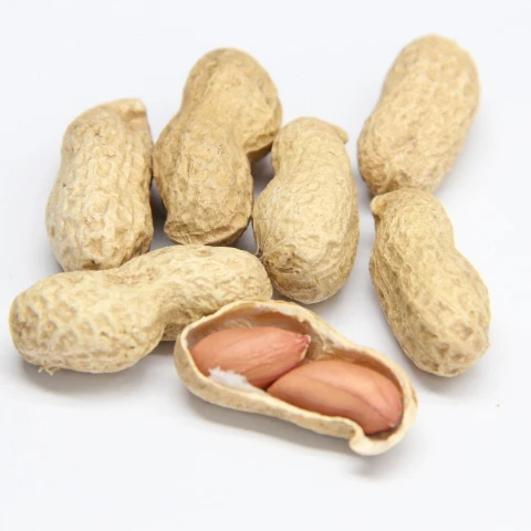 Сыпучие арахис в скорлупе