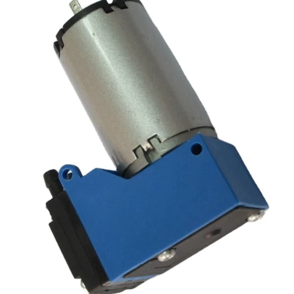 WA55EEDC Electric Piston Air Pump 12V-24V Diaphragm Pump for Low Pressure Vacuum Customizable OEM Support