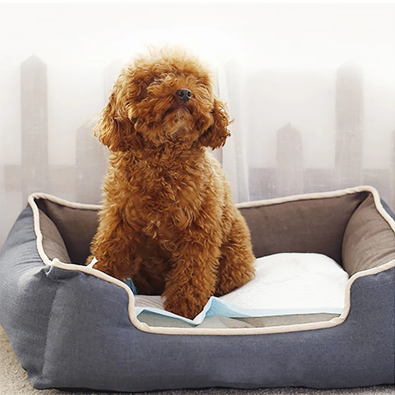 
ValuePad Plus Carbon Puppy Pads X Large 28x36 Inch 200 Count Breeze Compatible Refills competitive price pet sanitary pads 