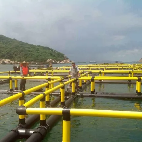 Hot Sale HDPE Square fish farming floating cage