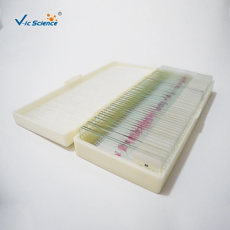 Microscope Pathology Slides Medical 50 Kinds Medical Educational Biology Teaching Slide Human Pathology Professional Slide
