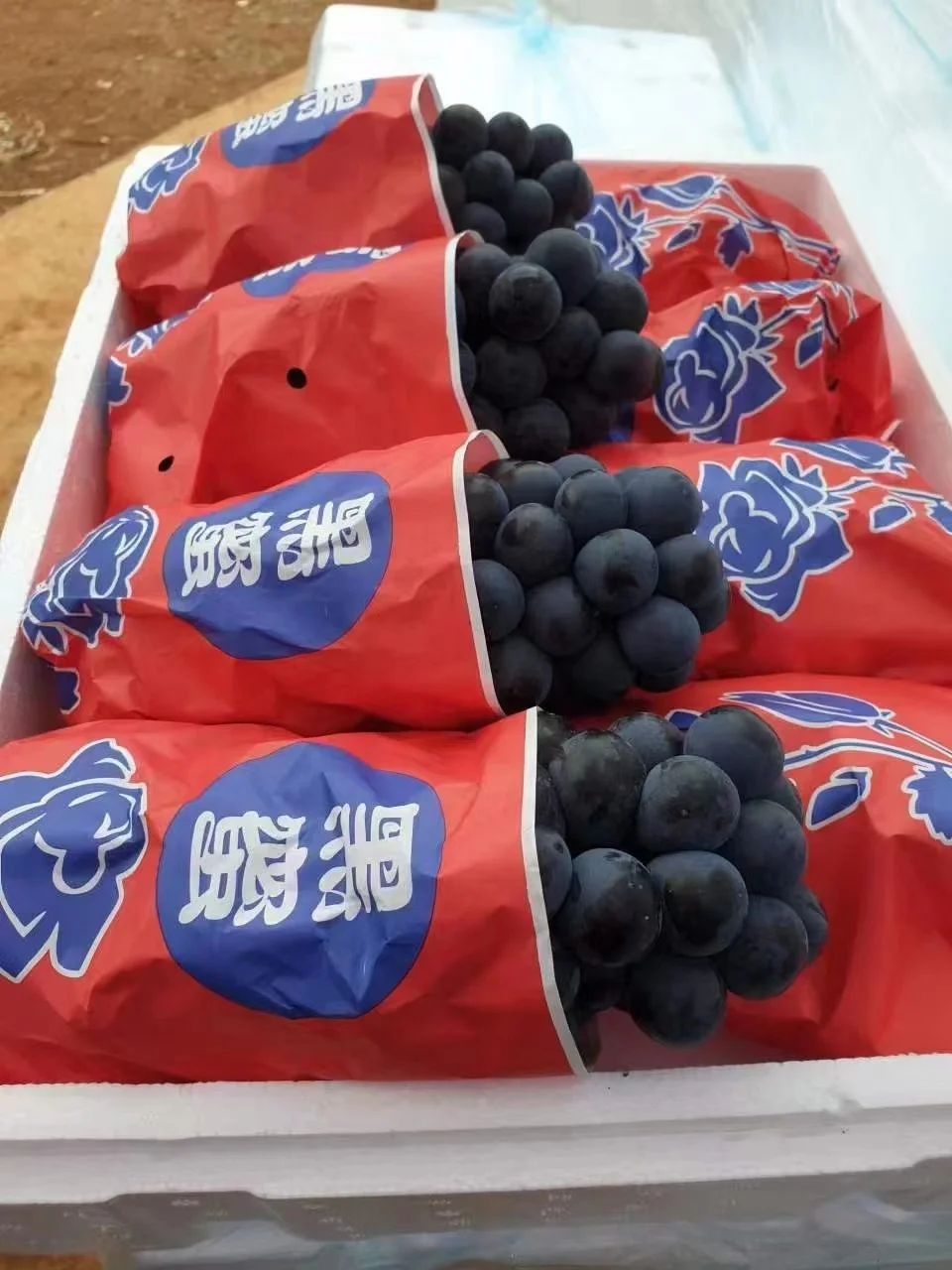 Top selling wholesale fresh black seedless grapes sweet grapes