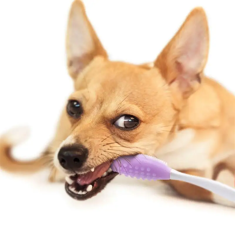 Pets Soft Bristle Silicone Toothbrush for Small to Large Dogs Dental Care Double Sided