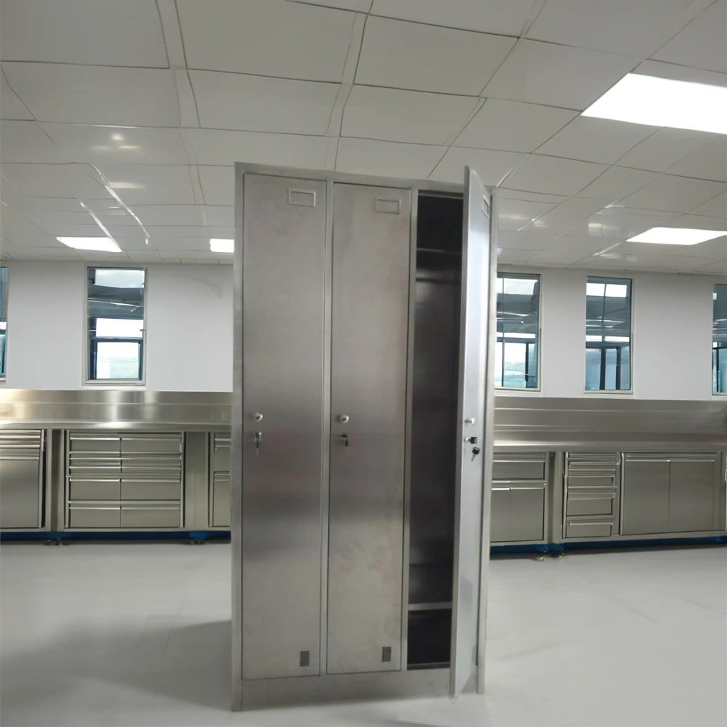 Customized Modern Design Stainless Steel Tool Cabinet Laboratory School Workshop Hospital Biology Kitchen Furniture Use Metal