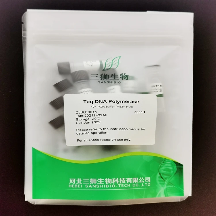 Wholesale enzyme specific reagents taq dna polymerase(with Mg2+)