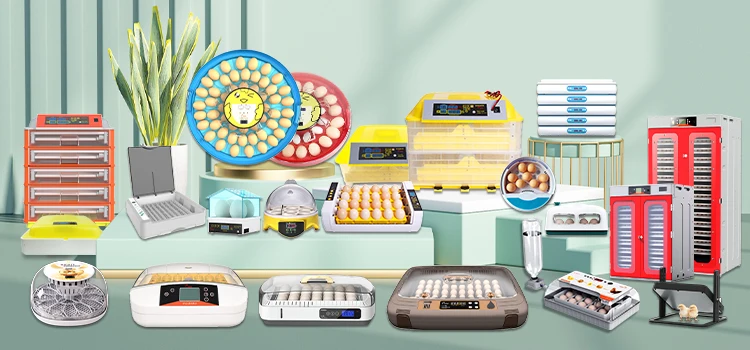 High repurchase rate egg machine ce approved energy saving solar incubator for hatching eggs Long Service Life