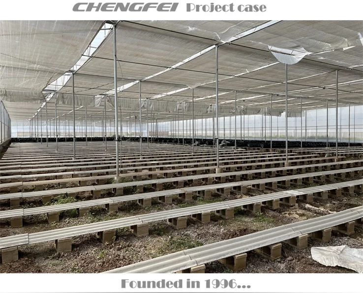 Multi-span invernadero low cost rain shelter polycarbonate agricultural greenhouse supplier for sale