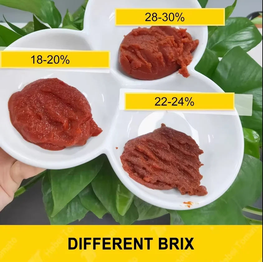 Tomato Paste Your Logo OEM Available Bulk Low Cost Fresh Taste Food Ketchup Concentrated Seasoning Canned Tins Condiments