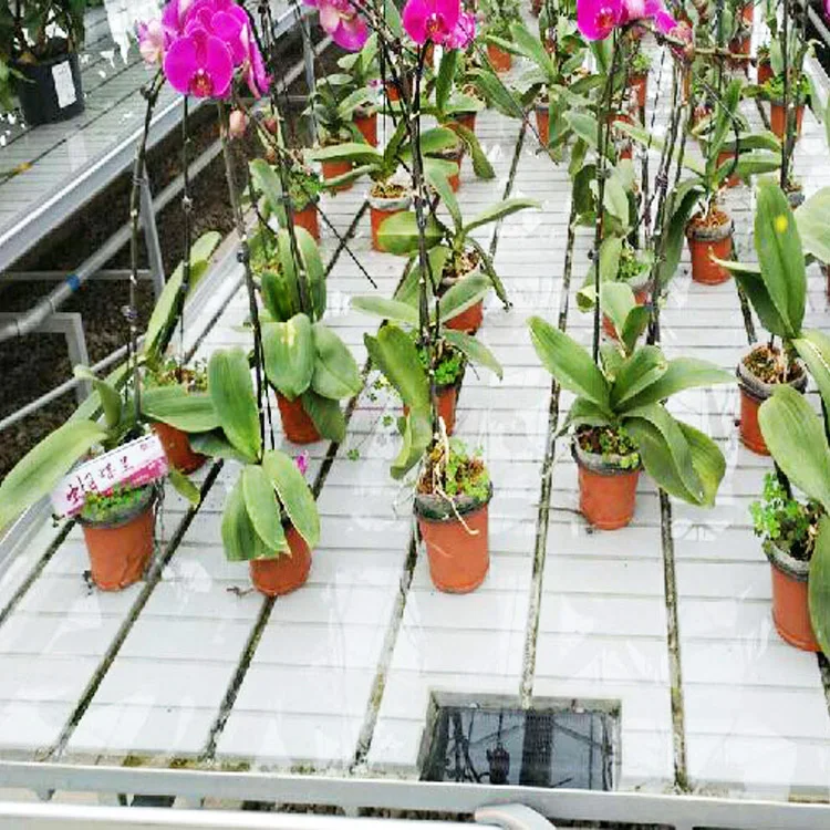 Buy china products hydroponic greenhouse  how to build flood and drain table