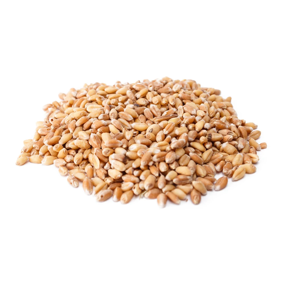 Зерно пшеницы, Казахстан, оптовая продажа, натуральные органические кормы для животных первого класса, пшеница, 50 кг в упаковке, семена пшеницы, зерна пшеницы