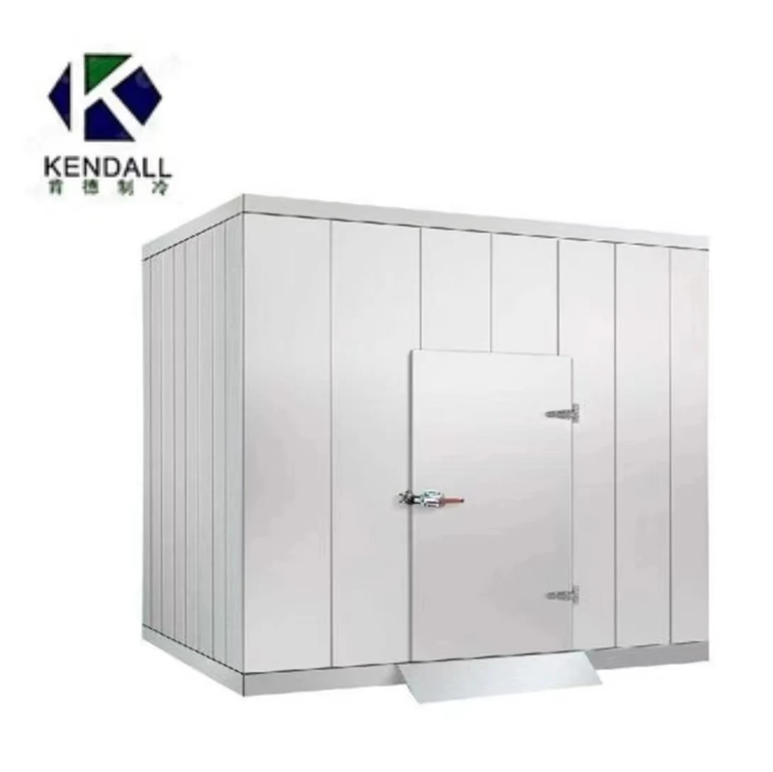 Selectable Voltage Branded Compressor Cold Room Evaporator Blast Freezer Room  for Meet or Fish