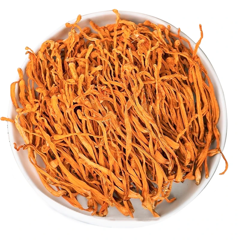 Cordyceps Militaris Mushroom Best Price High Cordycepin Organic Dried Cordyceps Militaris Big Spore Head