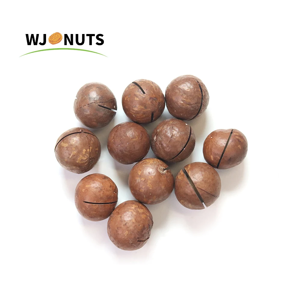 Wangjiang roasted healthy prices of macadamia in shell
