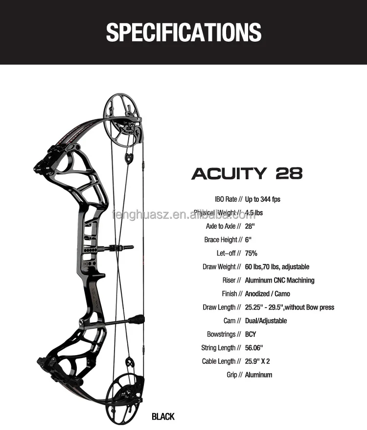 ACUITY-28_04.jpg