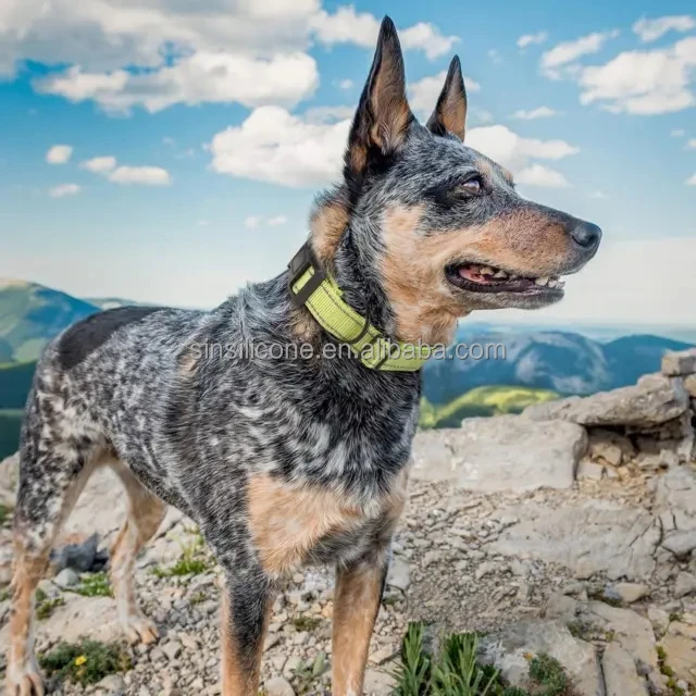 LINLI Multi Color Pet Collar Anti-Lost Air Tag GPS Tracker Soft Silicone Cover AirTag Light Up Dog Collar For Dogs Cats