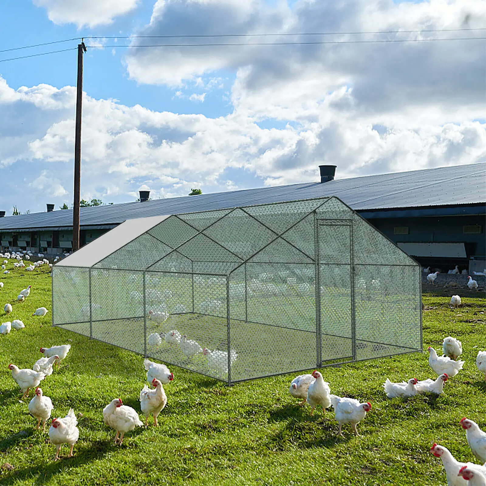 wire mesh chicken run coop 3m X 2m walk in cage for rabbit ducks hens poultry