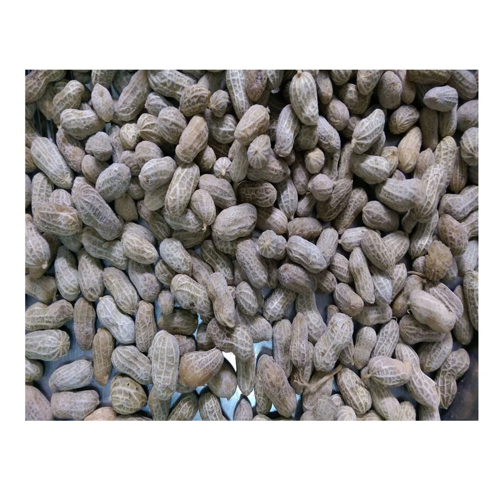 
IQF Chinese Bulk Factory Price Frozen Whole Peanuts 