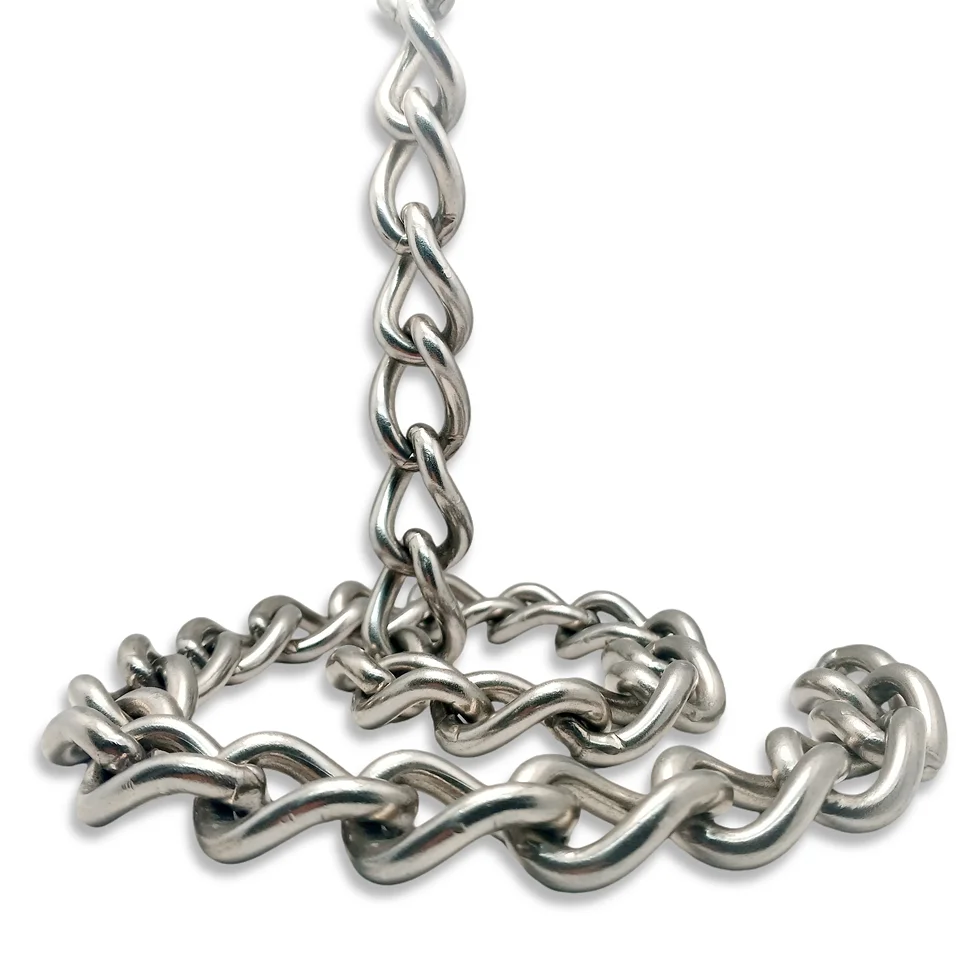 Custom Stainless Steel Dog Collar P Chain Dog Stainless Steel Twisted Dog Collar Neck Pet Chain