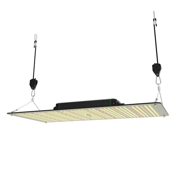 Full spectrum 150W Plant  Grow Light Warm White Bars Diodes Offer High Efficacy and High Harvest