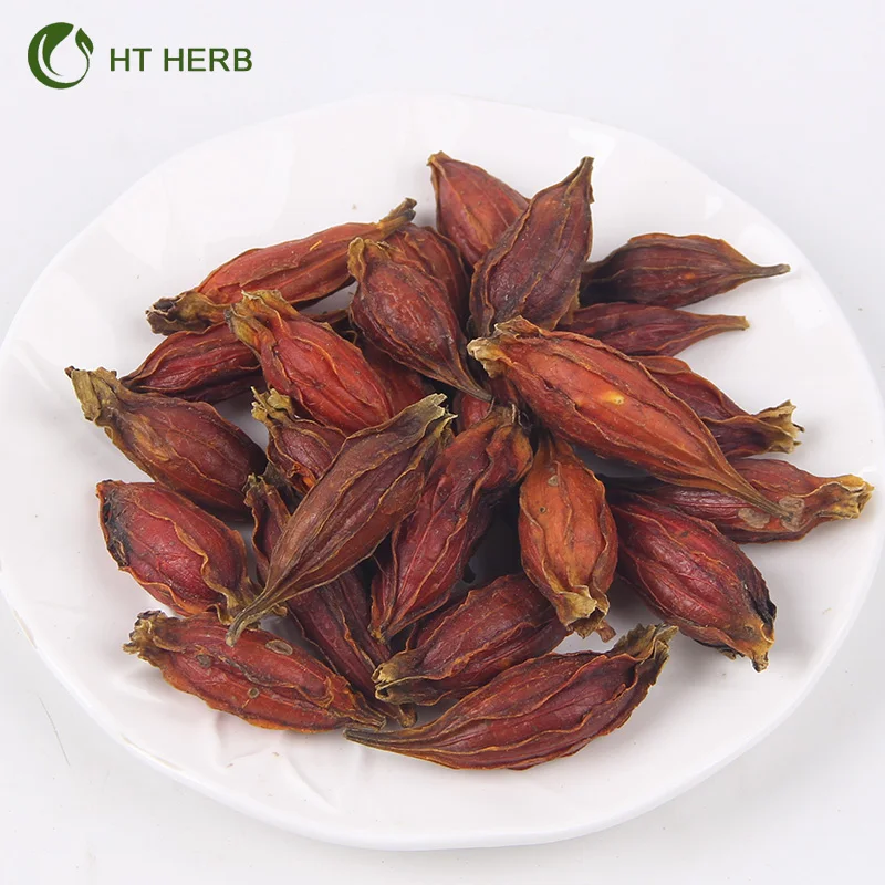 High Quality Fructus Gardeniae Natural Agricultural Product Dried Gardenia Fruits iFactory Price Arrival Dried Fructus Gardenia