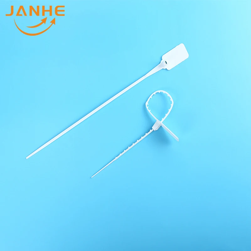 Hot Sale Cheap Plastic Customized size Good quality Label cable ties