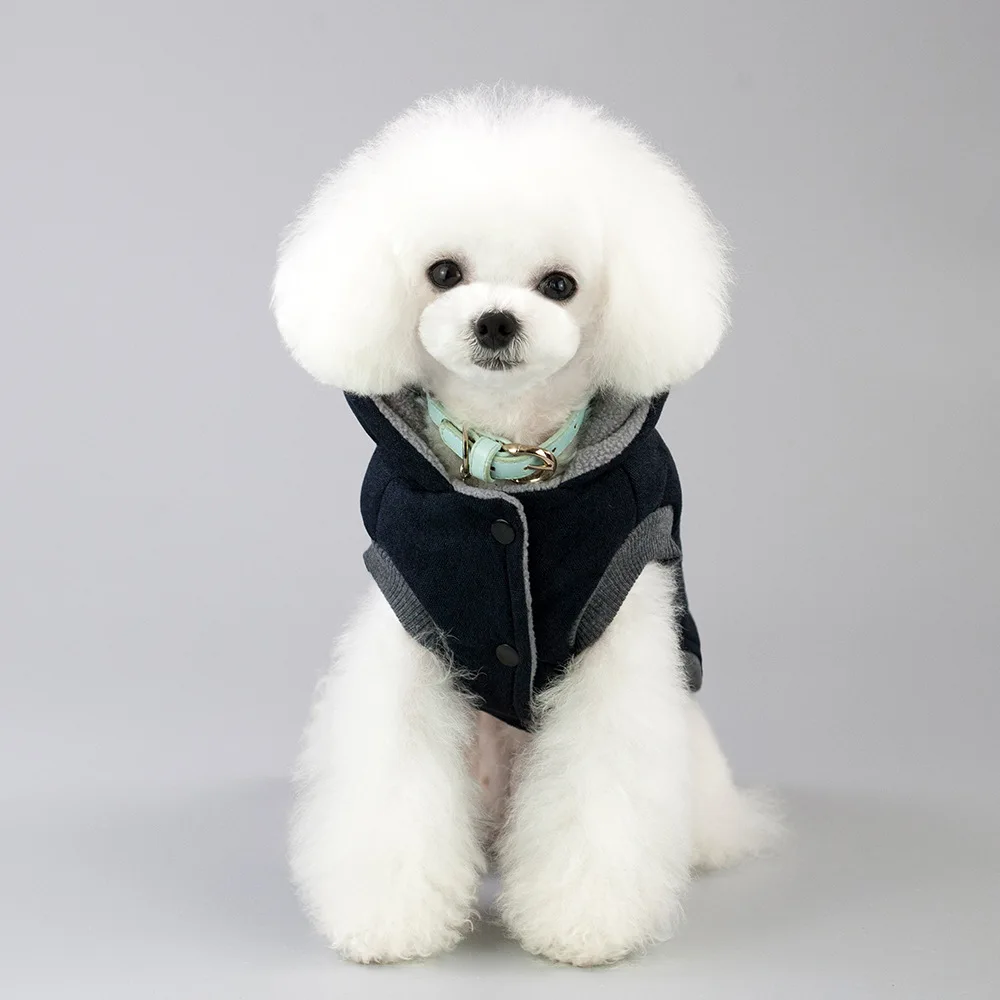 dog clothes autumn winter European and American manufacturers moustache two legs cotton-padded clothes