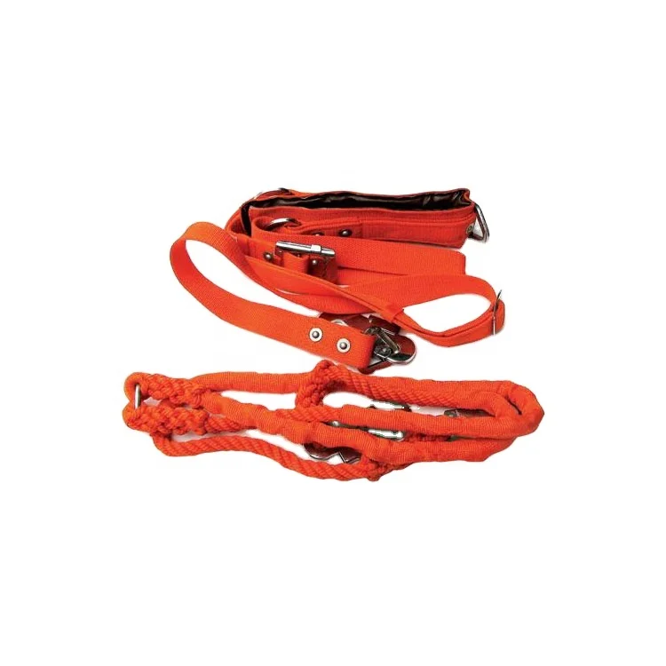 Chinese factory price Parts 2 Point Removable Waist Support Safety Belt