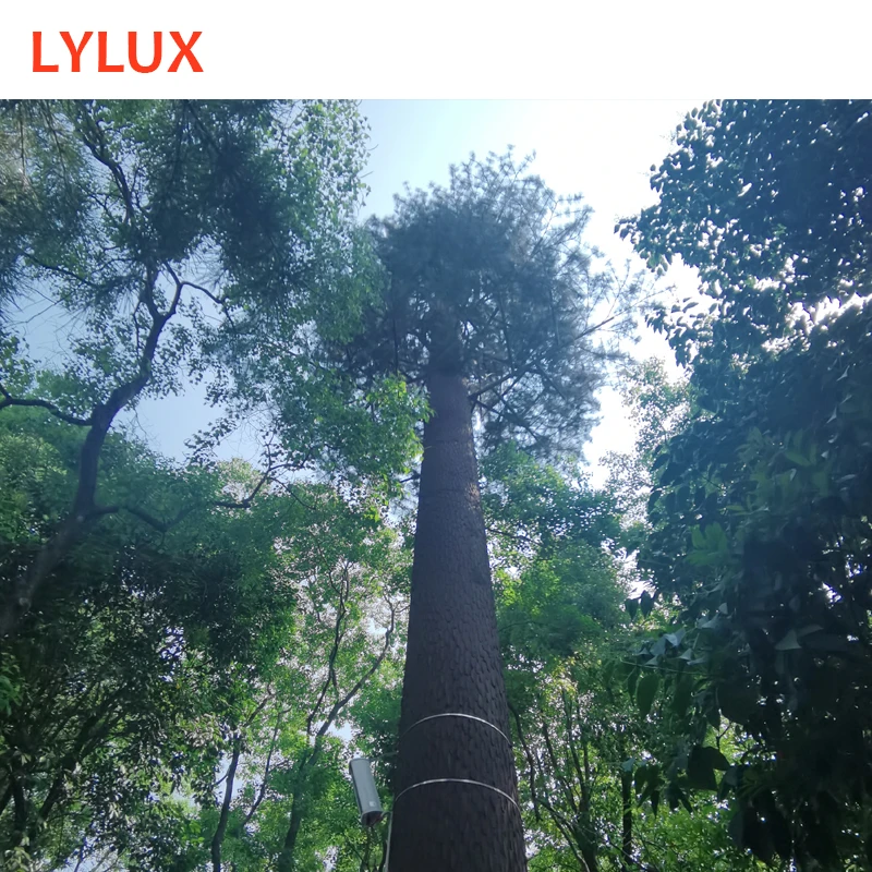 CE/BS/ASTM/AS code designed 25m 5G camouflage telecom camouflaged tower, disguised pine tree tower at mountain, park, forest