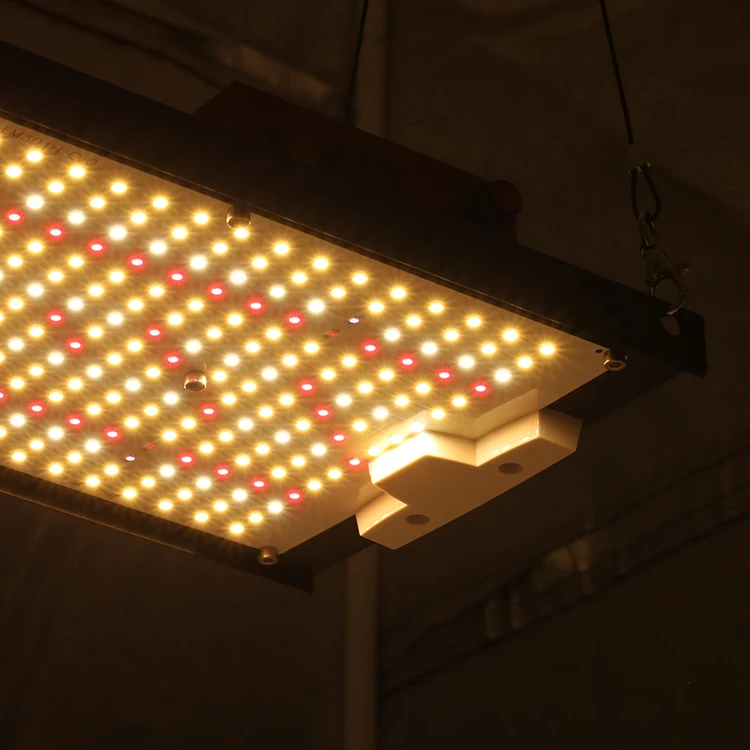 EU Stock, Free Tax !  KingBrite 240W Samusng LM301H EVO LED Grow Lights Full Spectrum with Meanwell Driver