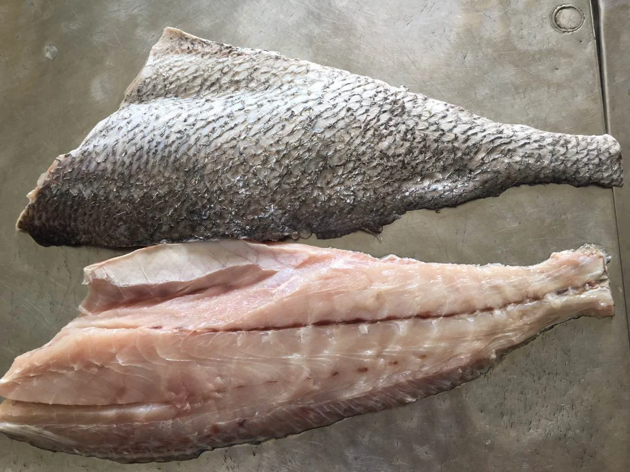 Frozen Brown Croaker Fish  Good Sale Indonesia Origin Seafood