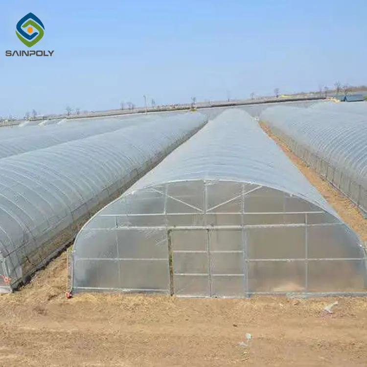 JDYApoly low cost mini poly tunnel agriculture green house vegetable high polythene tunnel garden greenhouse for tomato