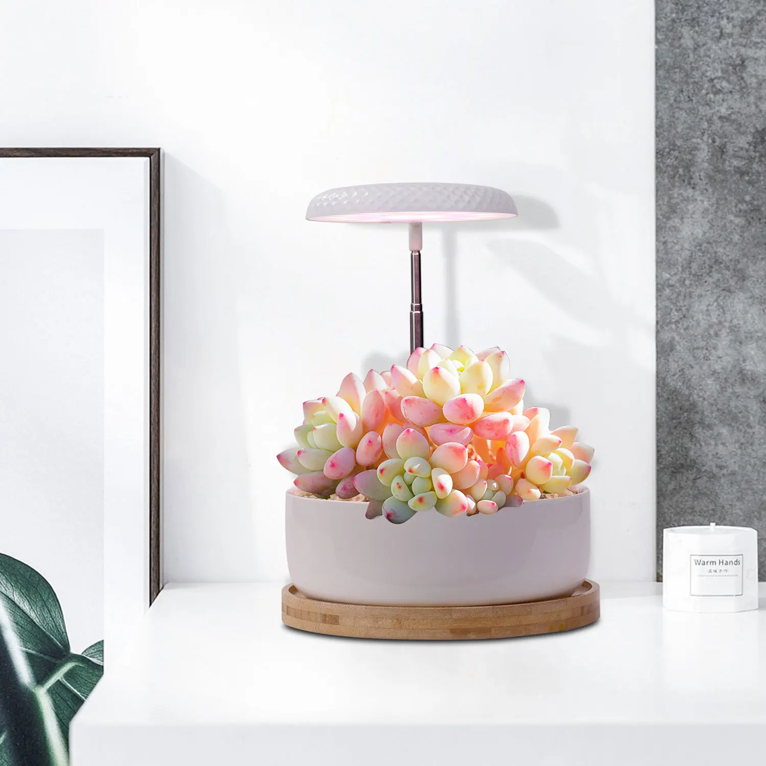 J&C Mini Garden Indoor plants mini Indoor grow lights led spectrum indoor garden