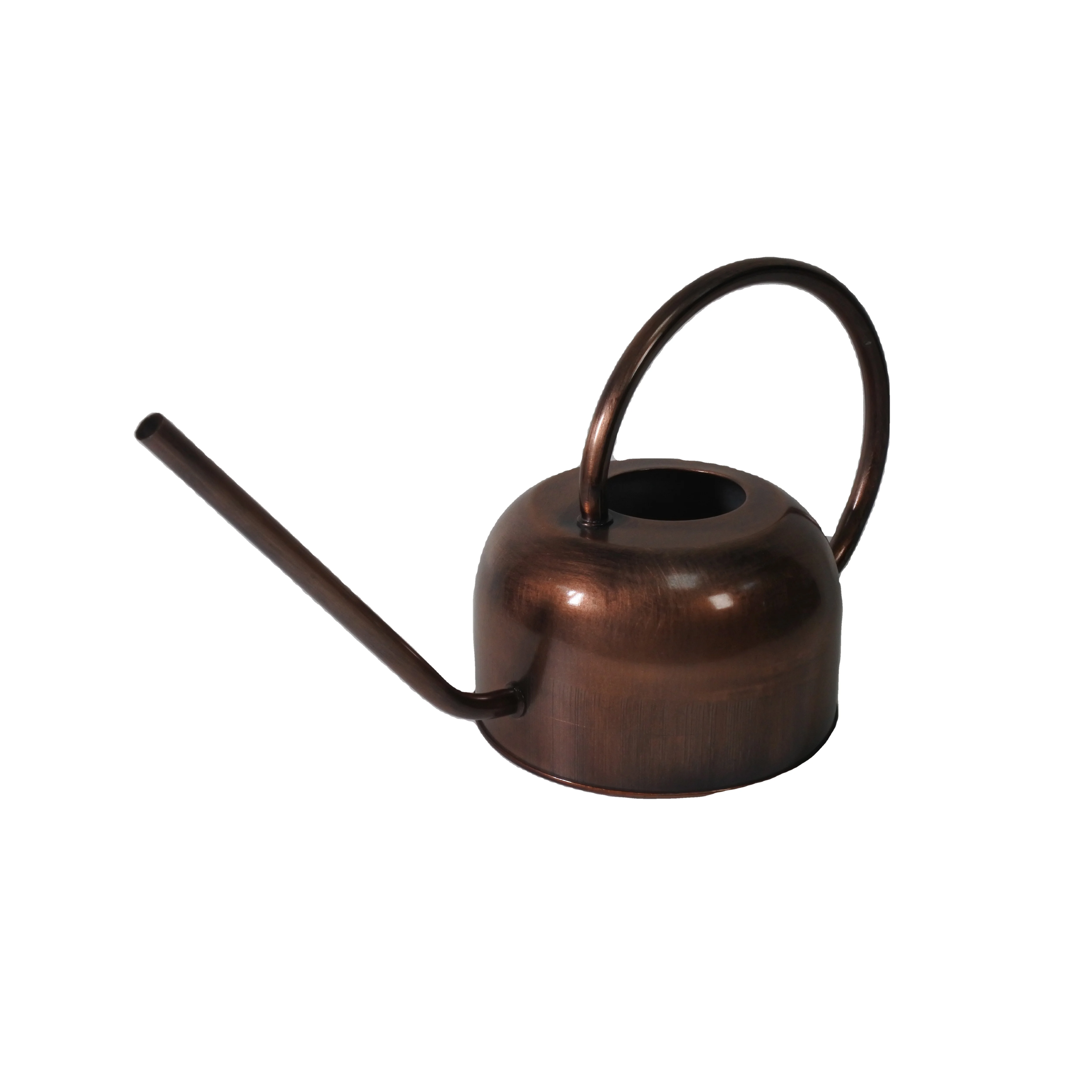 Garden Decor Small Watering Can Indoor Plants Galvanized Steel Modern Watering Can