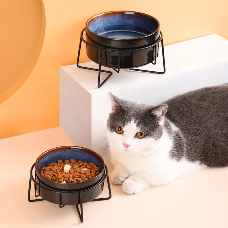 Fashion Star Sky Design Cat Dog Pet Bowl Food Feeder Drinking Water Bowl Pet Ceramic with Stainless Steel Stand Stylish Rounded