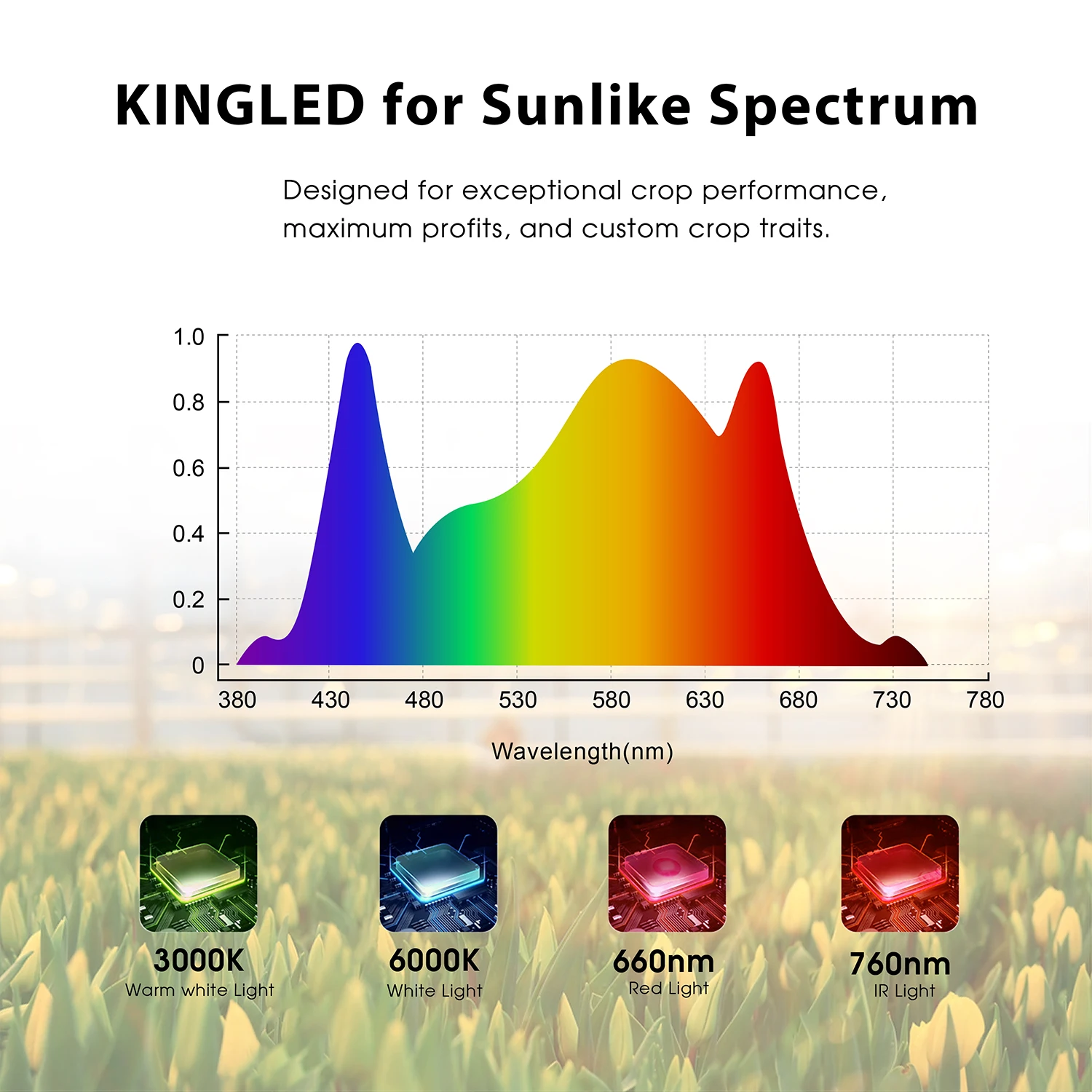 
KINGLED Grow Lights 1000W Full spectrum Hydroponics greenhouse Led Grow Light for indoor plant dimmable quantum grow light 