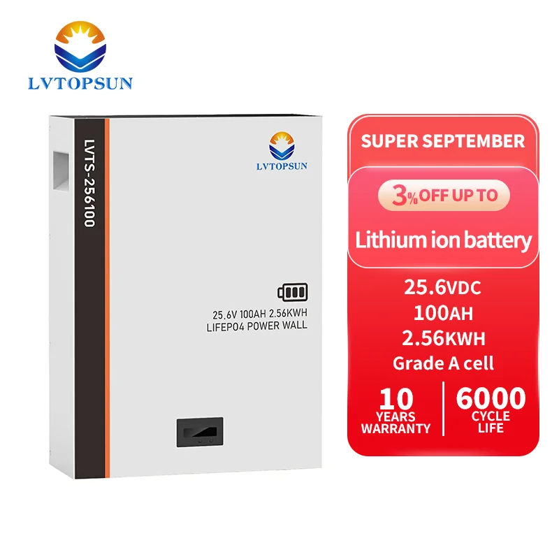 Лидер продаж 24 В 100 А/ч 200 А · ч 3 кВтч 5 литиево-ионный аккумулятор OEM 25 6 lifepo4 с Умной батареей для дома кемпинга автомобиля