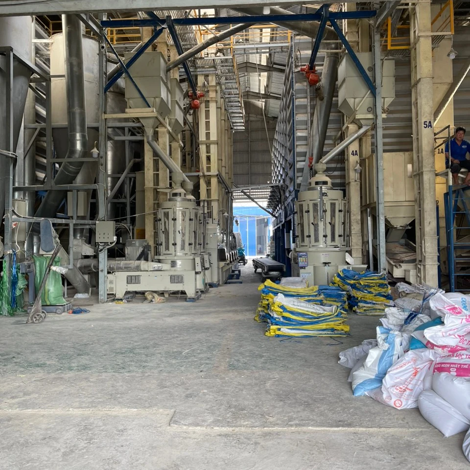 wholesale Rice st25 Vietnamese rice Max Dried- Soft White Color Origin Type Fresh Grain Vietnamese long grain  rice