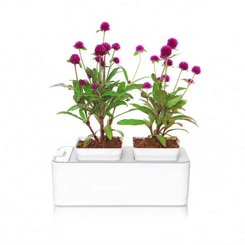 Factory outlet  no LED plant pot growing system hydroponic
