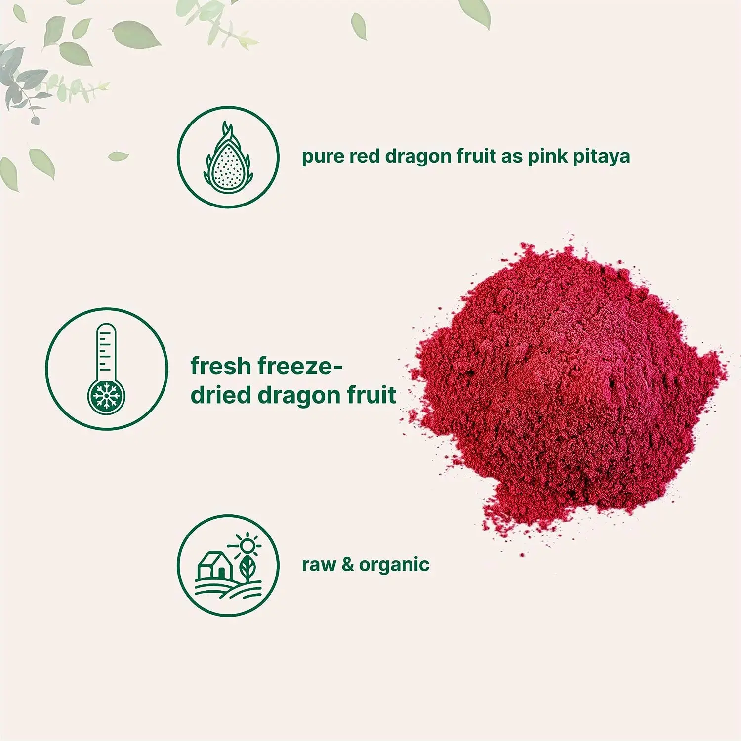 Organic Freeze-Dried Dragon Fruit Powder (Pink Pitaya/Pitahaya) Perfect for Shakes Baking & Smoothie Non-GMO Vegan Friendly